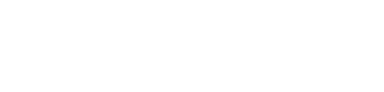 Logo in Primary background color